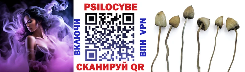 Купить где  Рославль  Галлюциногенные грибы GOLDEN TEACHER 